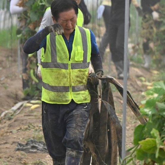정청래 더불어민주당 대표가 지난해 8월 전남 나주시 수해 복구 현장에서 봉사활동하고 있다. 정 대표 페이스북 갈무리
