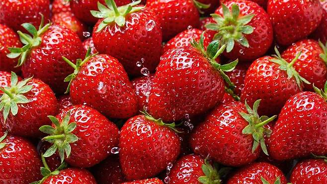 겨울딸기는 귤 보다 비타민 C가 풍부한 겨울 과일이다｜출처: Gemini 생성