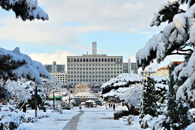 부천시청 전경 /부천시