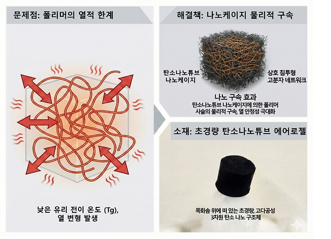 고분자 복합재의 열적 한계와 탄소나노튜브 나노케이지 기반 물리적 구속 개념도. (오영석 박사)
