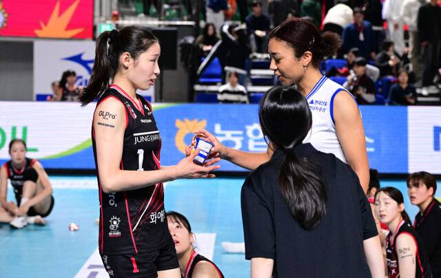 정관장 인쿠시와 현대건설 자스티스가 경기 후 인사하고 있다 / 한국배구연맹(KOVO)