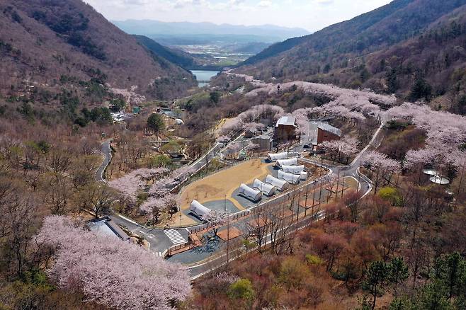 진주 월아산자연휴양림 봄 전경 ⓒ진주시 제공