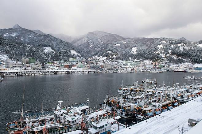 오징어 불황으로 정적이 흐르는 울릉 저동항. 조업을 포기한 어선들이 항구에 빽빽이 들어차 있다.