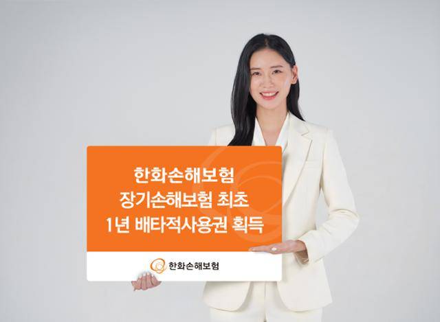 한화손해보험 '임신지원금' 특약 배타적 사용권 획득. 한화손해보험 제공