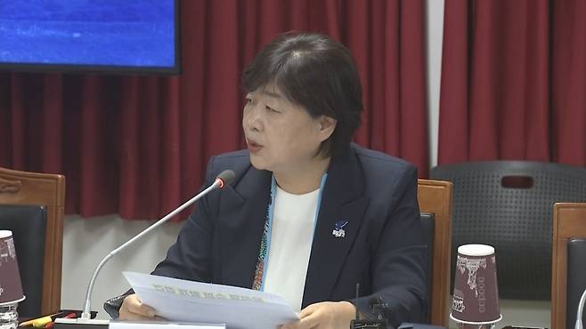 서영교 더불어민주당 의원