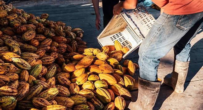 사진=게티이미지뱅크