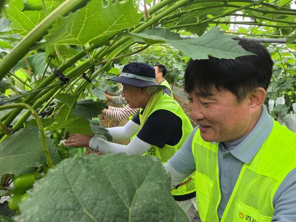 김성록 NH농협은행 경기본부장이 지난해 여름 무렵 지역 농가를 방문했다. NH농협은행 경기본부 제공