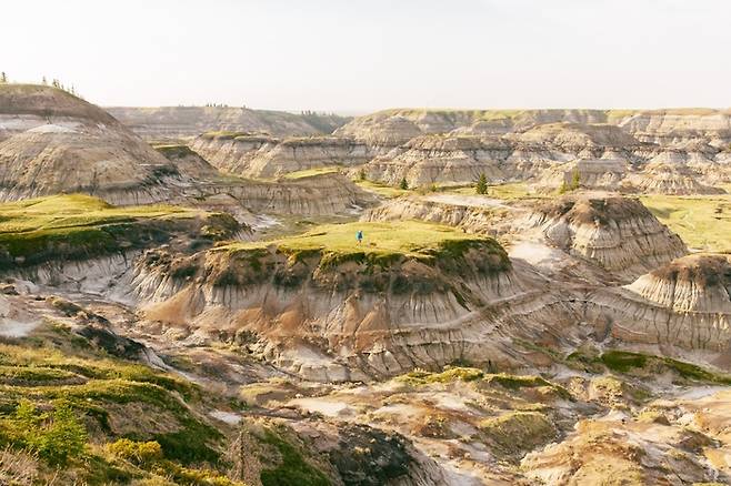 배드랜즈/사진=캐나다관광청제공( ⓒ Travel Alberta  Stevin Tuchiwsky)