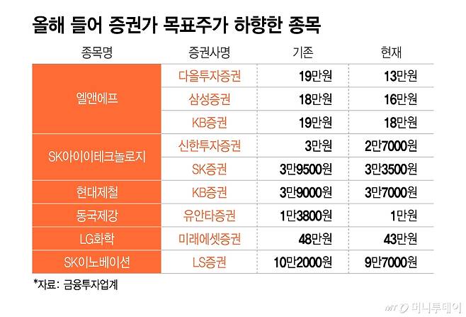 올해 들어 증권가 목표주가 하향한 종목/그래픽=이지혜