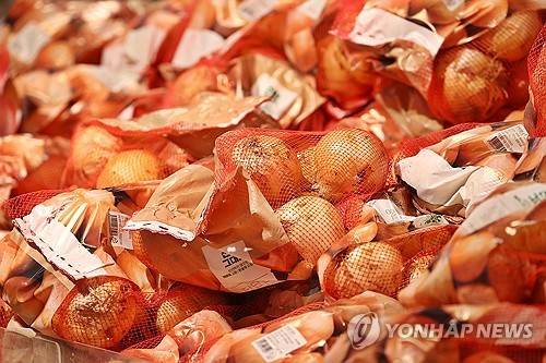양파 [연합뉴스 자료사진]
