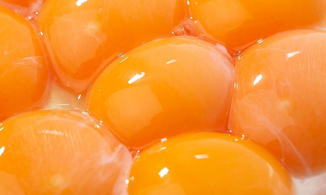 사진=클립아트코리아