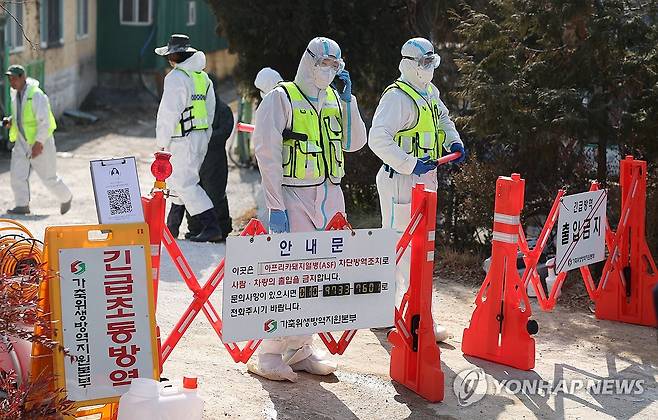 현장 통제 (창녕=연합뉴스) 김동민 기자 = 4일 경남 창녕군 대합면 아프리카돼지열병(ASF)이 발생한 돼지 사육 농가 주변에서 방역 당국이 현장을 통제하고 있다. 2026.2.4 image@yna.co.kr