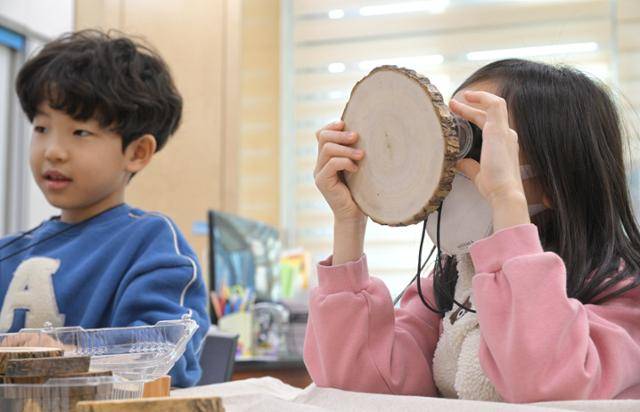 14일 경기 안산 덕성초에서 진행된 한국산림복지진흥원 연계 방과후 프로그램 '야! 숲에서 꿈꾸고 놀자' 수업 도중 초등학교 1, 2학년 학생들이 확대경으로 나무의 나이테를 관찰하고 있다. 최주연 기자