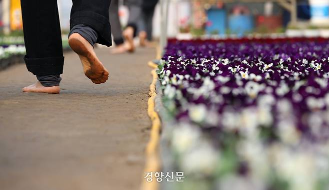 5일 경기 안양시 동안구 비산3동 꽃양묘장 비닐하우스 안에서 시민들이 맨발로 흙길을 걷고 있다.