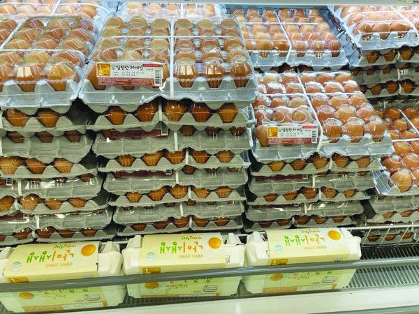 사진은 기사 내용과 직접적인 관련이 없음. 연합뉴스