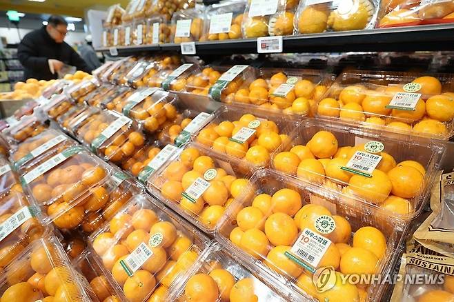 겨울 제철 과일인 딸기와 감귤이 기후 변화와 수급 불안 영향으로 가격 상승세를 보인 지난 4일 서울의 한 대형마트에 감귤이 진열되어 있다. [연합뉴스]