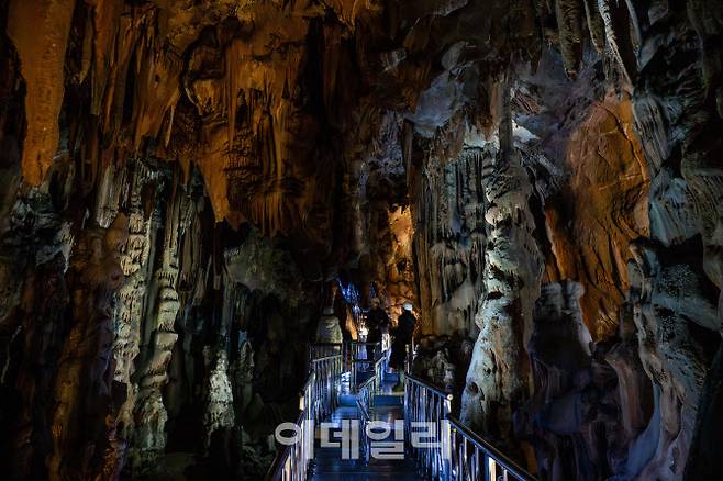 울진의 성류굴(천연기념물 제155호)은 약 2억 5천만 년의 세월이 빚어낸 석회동굴로, 그 경관이 뛰어나 ‘지하 금강산’이라 불립니다