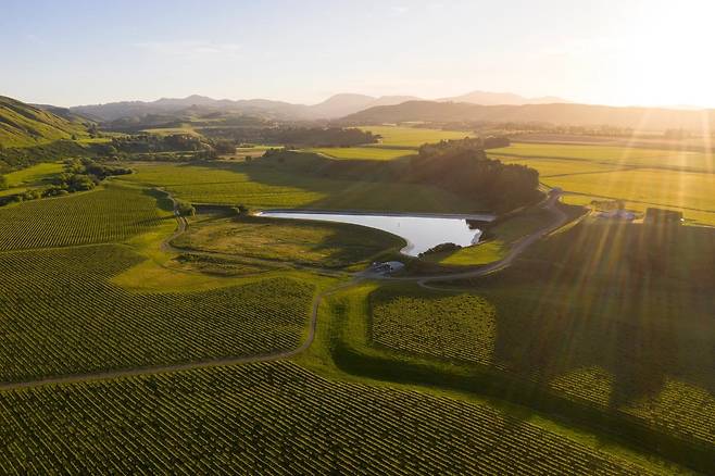 테 무나 로드. 홈페이지