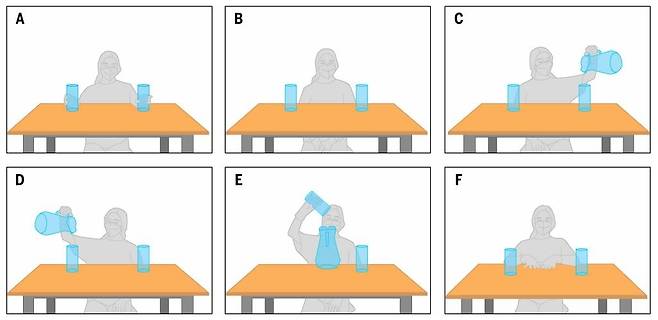 보노보 칸지를 대상으로 한 상상력 실험 모습 실험자는 빈 컵 두 개가 놓은 테이블을 사이에 두고 칸지와 마주 앉은 상태에서 투명하고 비어 있는 주전자를 들어 두 컵에 주스를 따랐다가 그중 컵 하나의 주스를 다시 주전자에 버리는 시늉을 한 다음 칸지에게 "주스는 어디 있지?"라고 물었다. [Science, Amalia P. M. Bastos et al. 제공. 재판매 및 DB 금지]