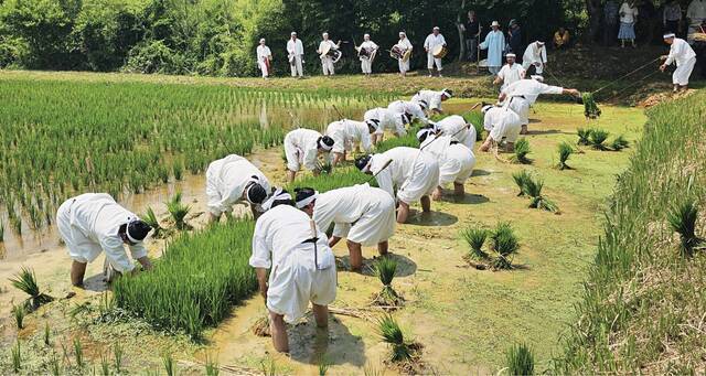 순창농요금과들소리가 국가무형유산 지정(인정) 조사 대상 신규 종목 중 예능 분야에 이름을 올렸다. 보존회 제공