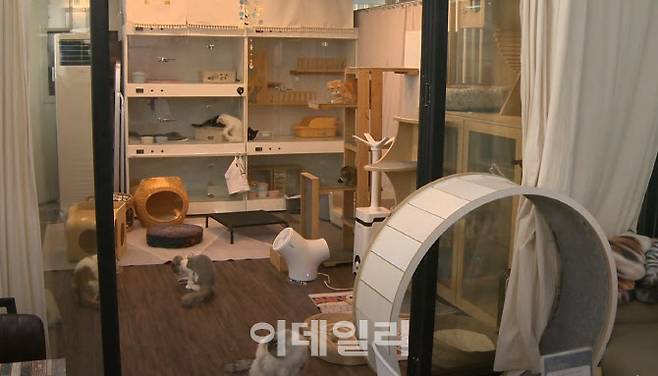 성동구에서 지원하는 우리동네 펫위탁소 모습(사진=성동구)