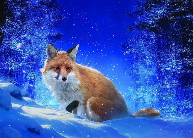 여우. 과학동아 제공&nbsp;