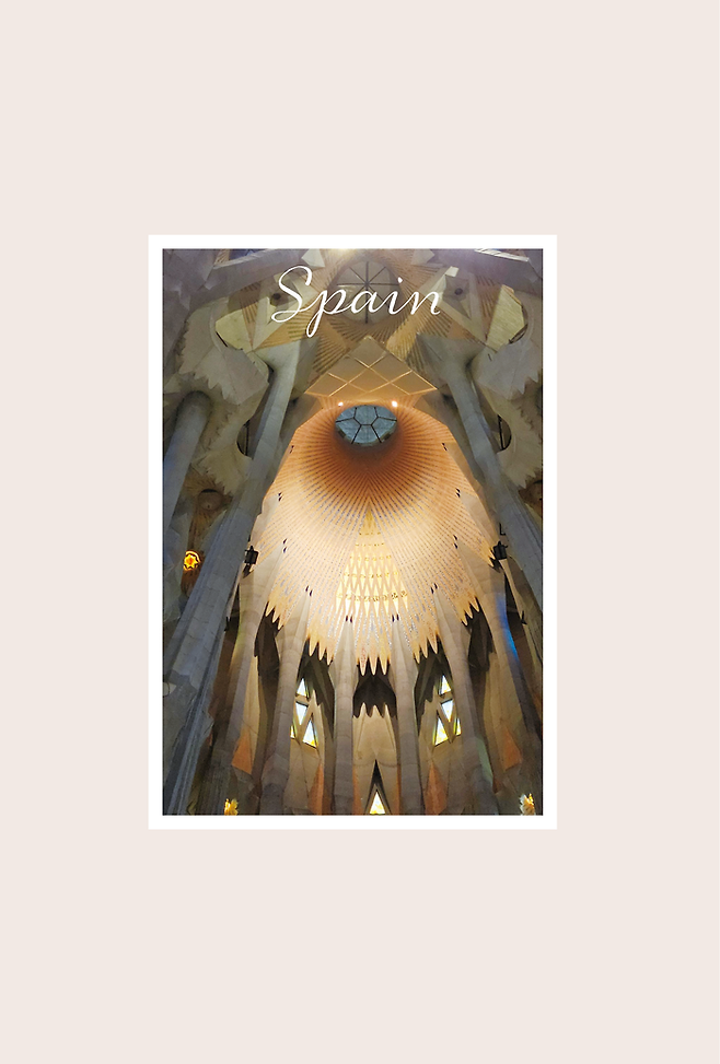 사진 = 바른북스