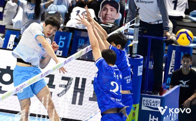 대한항공 정지석/KOVO