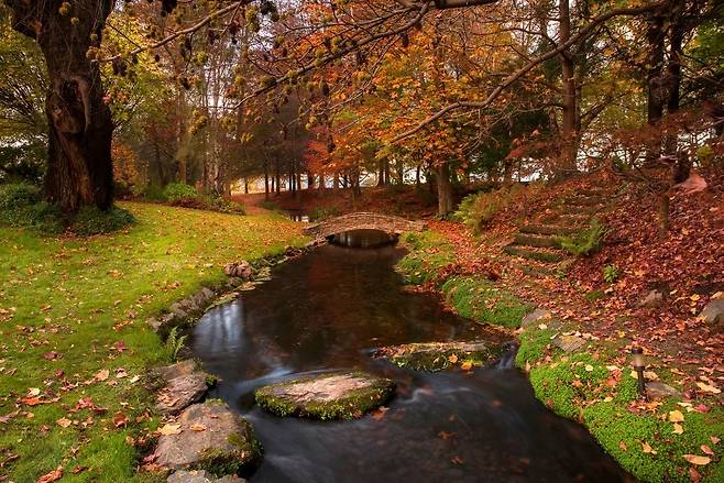 라파우라 샘. 홈페이지