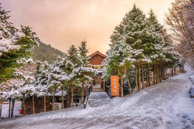 국립한국자생식물원. 사진제공=한국수목원정원관리원