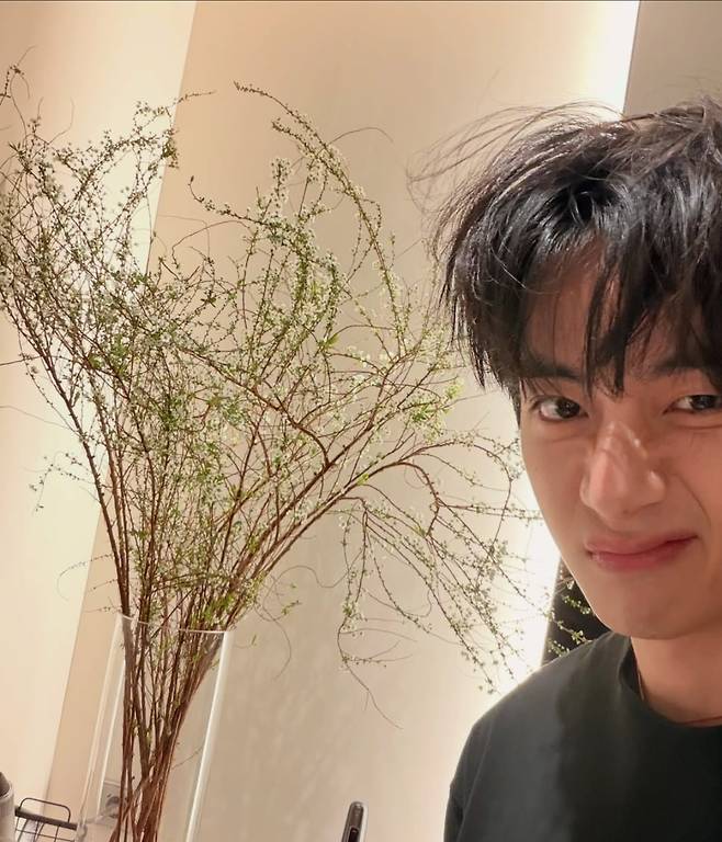 사진 = 뷔 인스타그램