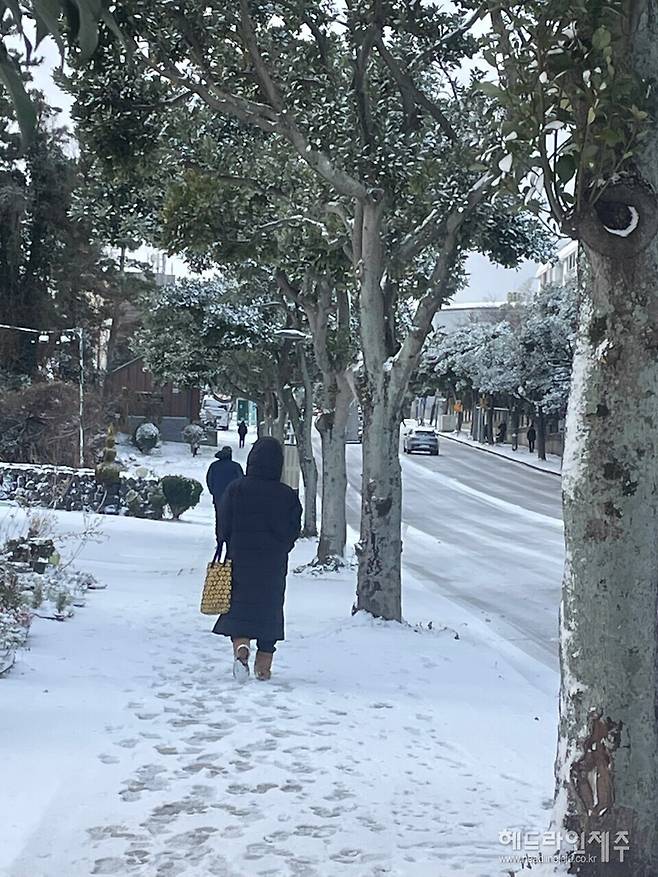 대설특보가 확대 발효된 제주도에 밤사이 강풍을 동반해 많은 눈이 내리면서 8일 오전 도로 곳곳이 통제되고, 제주공항의 항공기 운항이 전면 중단됐다. 사진은 많은 눈이 내린 8일 오전 제주시내 거리. ⓒ헤드라인제주