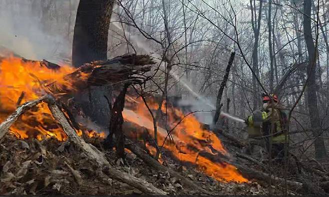 8일 경북 경주시 문무대왕면 입천리에서 소방대원들이 전날부터 이어진 산불을 진화하고 있다. (사진=경북소방본부)