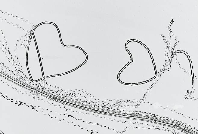 1월26일 경기도 화성시 멱우지 눈밭 위에 누군가 발자국으로 하트를 그려놓았다. 연합뉴스