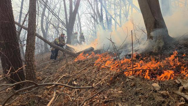 소방대원들이 8일 경북 경주시 문무대왕면 입천리에서 전날부터 이어진 산불을 진화하고 있다. 경북소방본부 제공