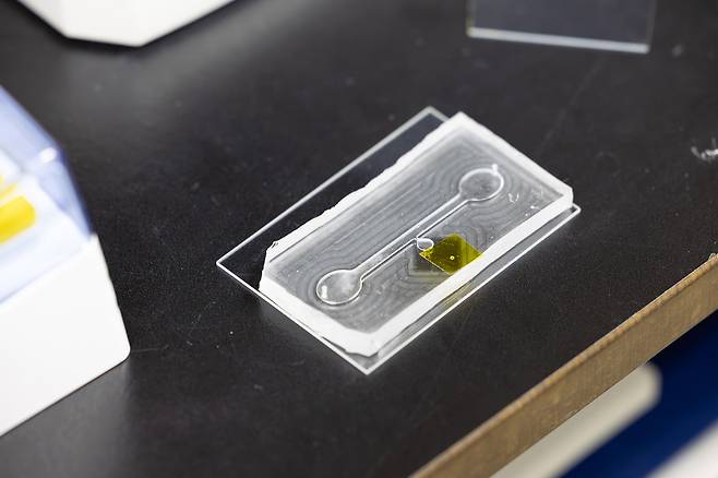 미세유체칩에 오염물질이 추출된 모습.[한국화학연구원 제공]