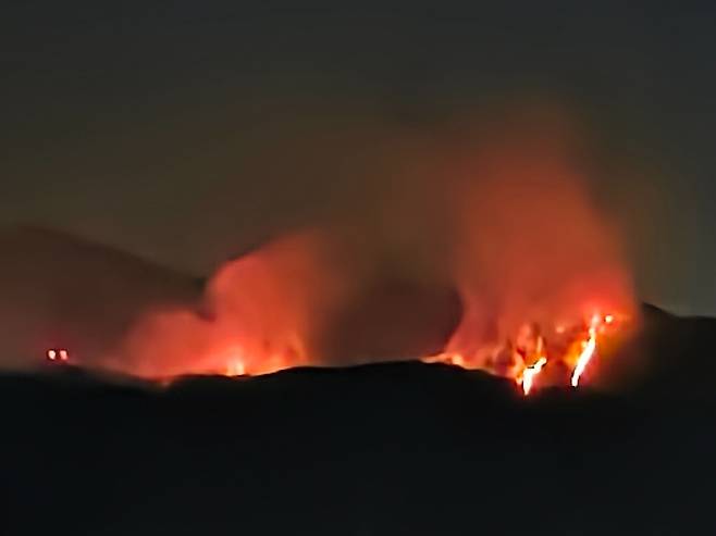 경주 산불. 독자 제공