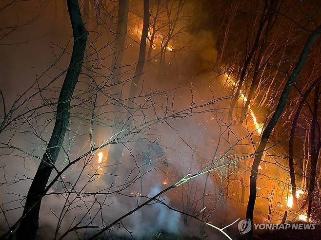 경주 문무대왕면 산불 (경주=연합뉴스) 지난 7일 오후 9시 40분께 경북 경주시 문무대왕면 입천리 야산에서 산불이 발생해 소방 당국이 진화작업을 이틀째 벌이고 있다. 2026.2.8 [경북소방안전본부 제공. 재판매 및 DB금지] photo@yna.co.kr