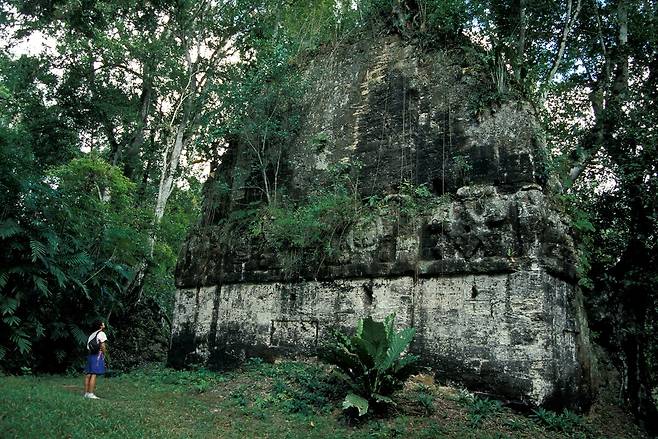 티칼의 밀림 속에는 아직도 숲속에 묻혀있는 마야 유적들이 곳곳에 산재해 있다.
