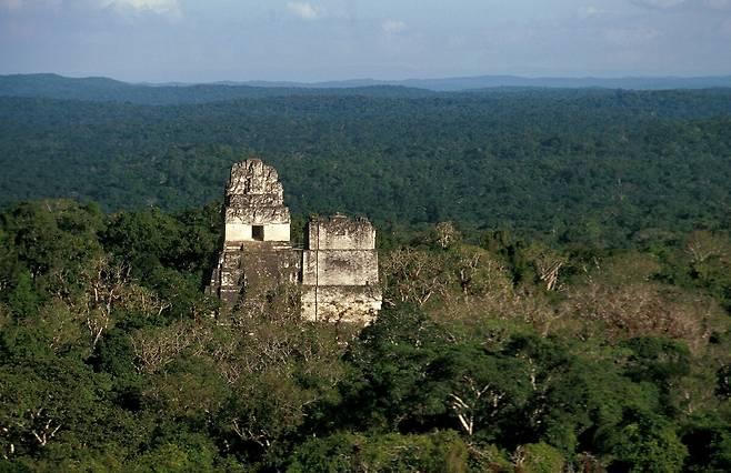 밀림 속에 우뚝 솟아있는 과테말라 ‘티칼’의 피라미드