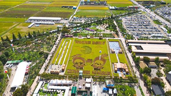 김제지평선축제가 열리는 벽골제 현장  [사진=김제시 ]
