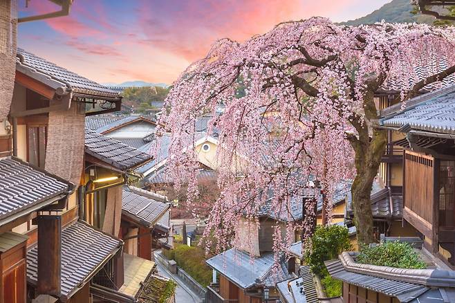 교토 히가야시야마 구역. 사진=모두투어