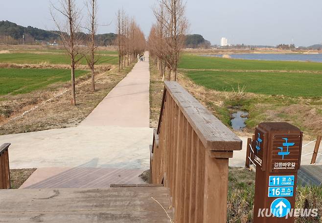 강릉시가 9일 강릉시청 8층 상황실에서 국내 최대 규모인 지름 10m LED달조형물을 활용한 ‘달빛아트쇼’ 사업의 착수보고회를 개최, 사업의 본격적인 추진에 들어갔다. 경포생태저류지와 메타세콰이어길 모습.&nbsp;