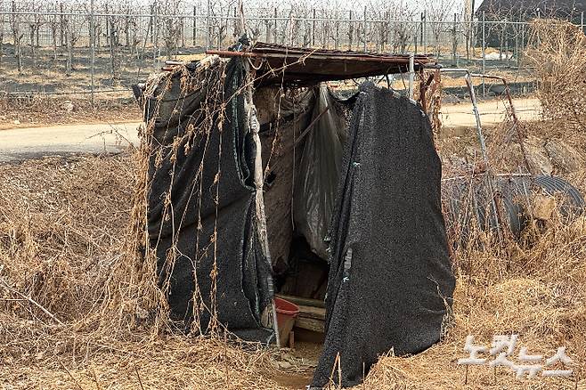 경기도 포천시 가산면의 한 농경지에 있는 이주노동자들의 야외 재래식 화장실. 이곳에서 거주하던 여성 이주노동자들이 쓰던 화장실이지만, 최근 불법 적발로 인해 사용되지 않고 있다. 김수진 기자