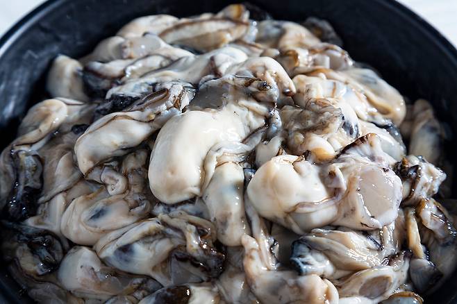 생굴. 사진 = 클립아트코리아 제공