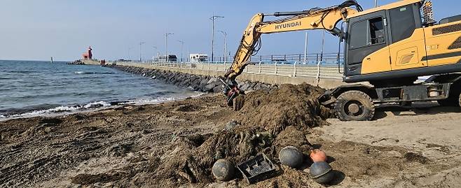 지난 5일 이호테우해수욕장이 때이른 괭생이모자반이 해변에 밀려와 쌓이면서 산책나온 시민과 관광객의 불편을 초래하자 포클레인으로 수거하고 있다. 제주 강동삼 기자