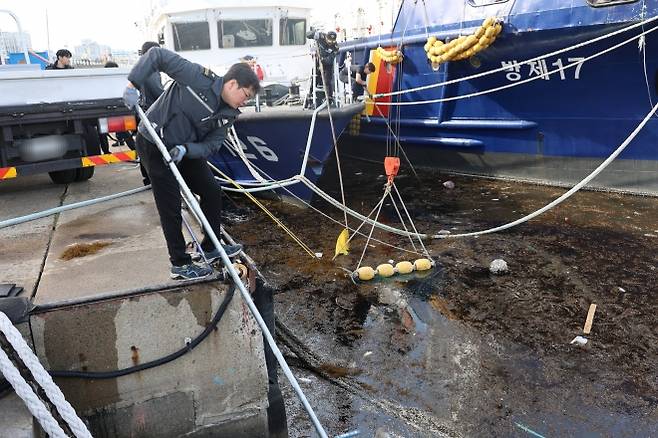제주해경이 제주항 인근에서 대량으로 떠밀려온 괭생이모자반을 수거하고 있다. 제주해양경찰서 제공