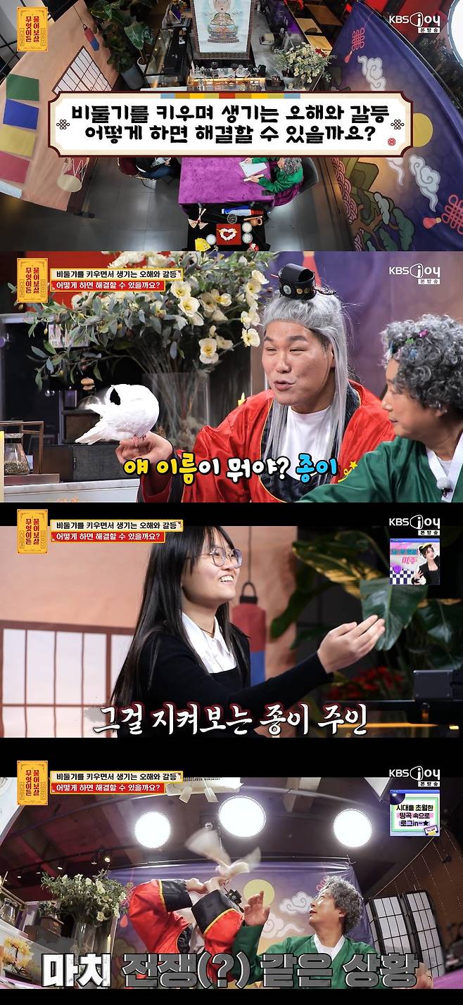 /사진=KBS Joy 예능 '무엇이든 물어보살' 방송 캡처