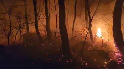 금정봉 산불 현장 [부산소방재난본부 제공. 재판매 및 DB금지]