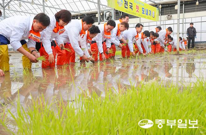 10일 오후 이천시 호법면 안평리 비닐하우스 논에서 열린 '임금님표 이천쌀 첫 모내기 행사'에서 김경희 이천시장, 송석준 국회의원, 엄범식 농협중앙회 경기본부장 및 참석자들이 올해 첫 모내기를 하고 있다. 김경민기자